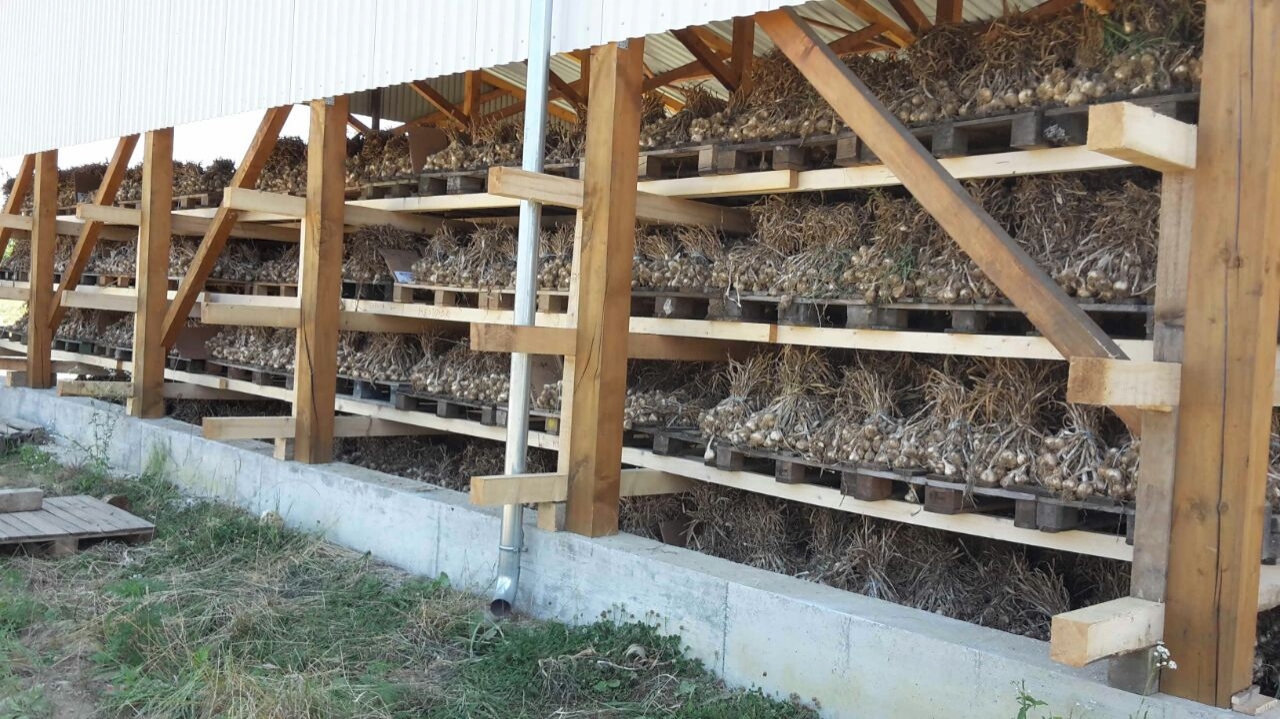 gallery/img-20150919-wa0006